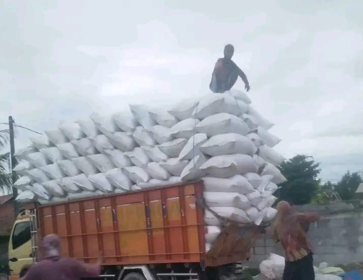 Sekam mentah untuk kompos organik