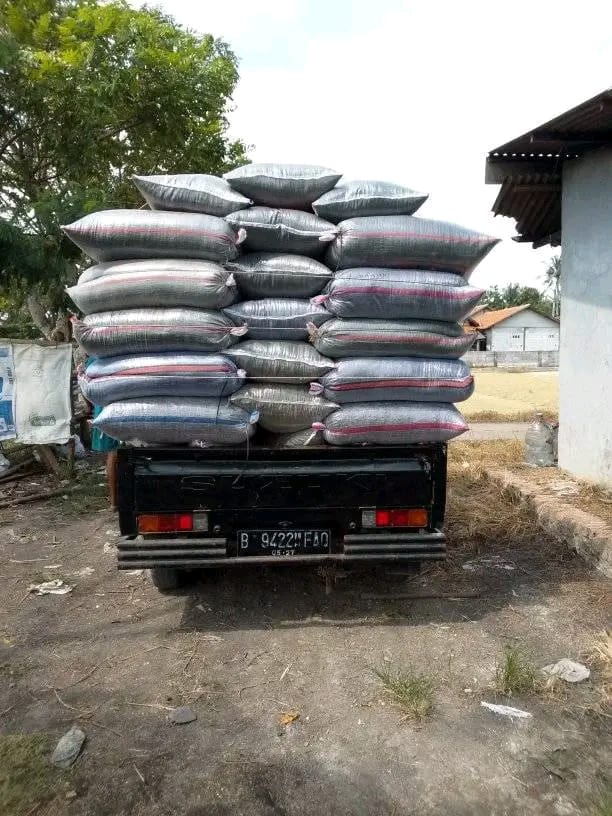 Arang sekam untuk media tanam