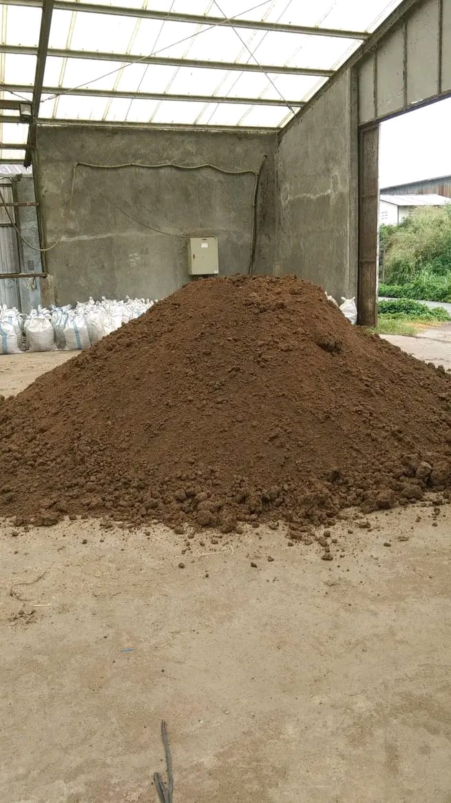 Kohe Ayam Murni Kualitas Premium