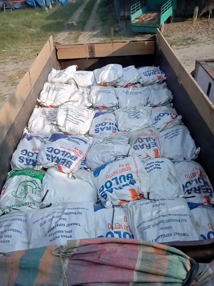 Kohe ayam murni untuk pertanian organik