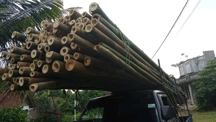 Detail tekstur bambu cor
