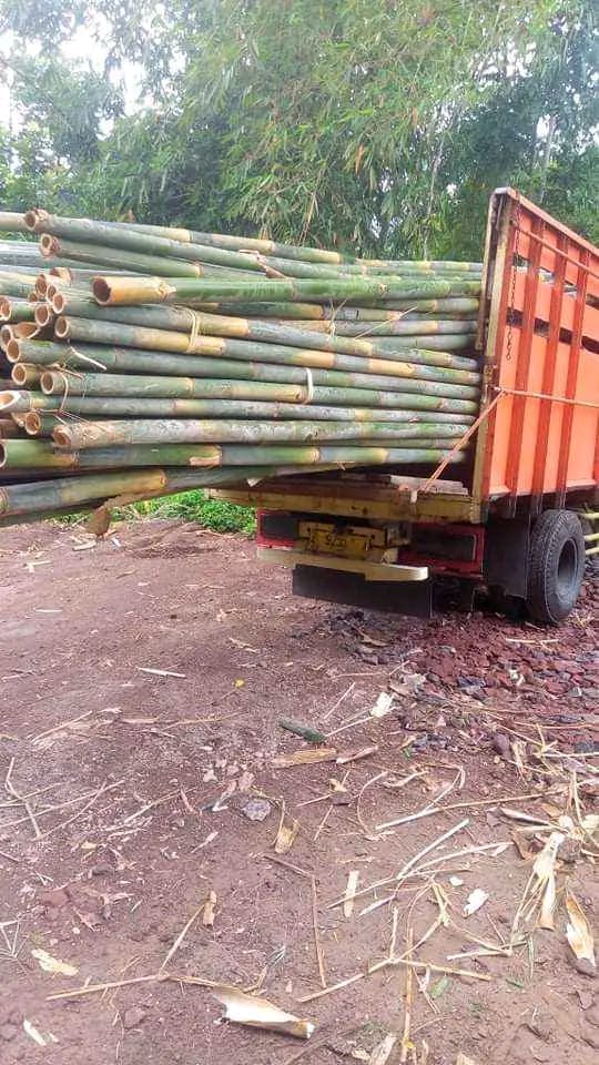 Proses pembuatan bambu cor